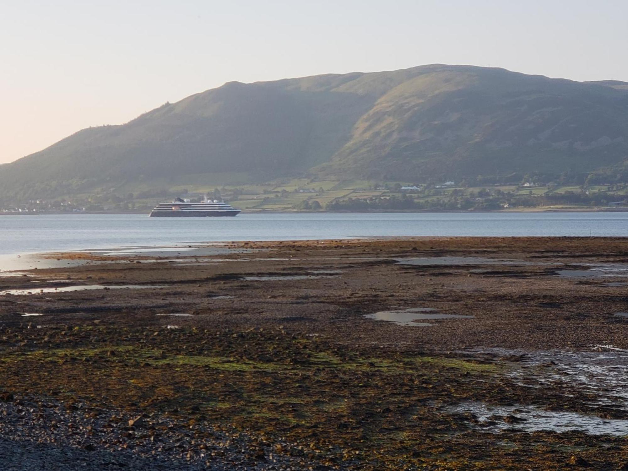 The Oystercatcher Lodge Carlingford Exterior foto